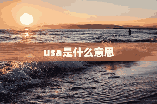 usa是什么意思